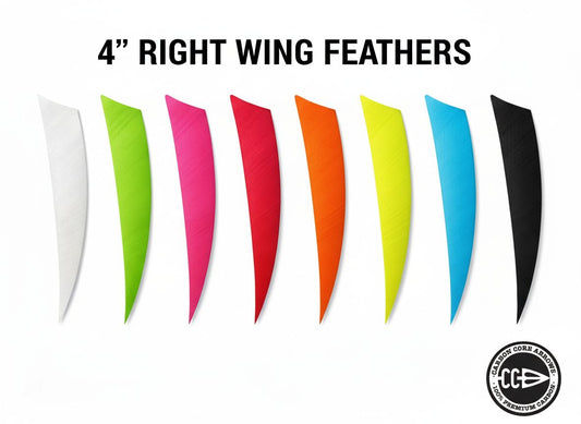 Carbon Core 4" Right Wing Shield Cut Feathers — Carbon Core Arrows